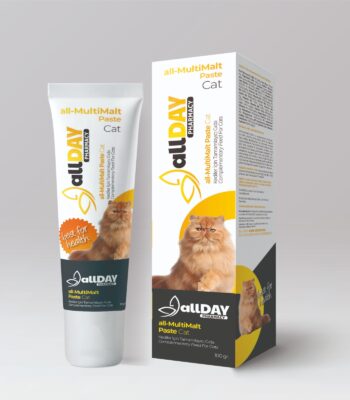 ALLDAY MULTİMALT PASTE 100 GR