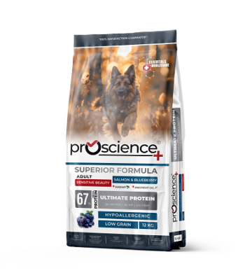 PRO SCİENCE SALMON DOG 12KG
