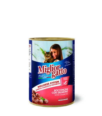MİGLİOR GATTO KEDİ SOMON PARÇALI 405 GR