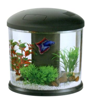 BOYU DY-2A BETA AKVARYUMU