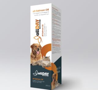 ALLDAY SALMON OİL OMEGA 3 OMEGA 6 200 ML