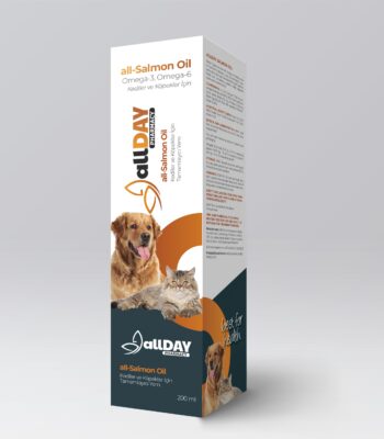 ALLDAY SALMON OİL OMEGA 3 OMEGA 6 200 ML