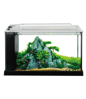 ANUBİAS PLATY 52 NANO AKVARYUM SİYAH 52*22.7*30 CM