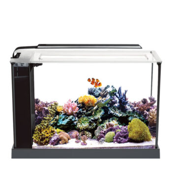 ANUBİAS EVO-V6-52 NANO AKVARYUM SİYAH 52*19*30 CM