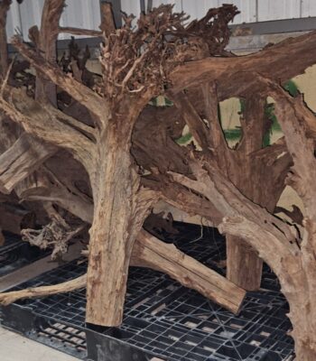 MANGROVE AKVARYUM KÜTÜĞÜ DEV