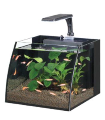 HAQOS BELLY BOX 25 LED AYDINLATMALI NANO AKVARYUM 11L BLACK