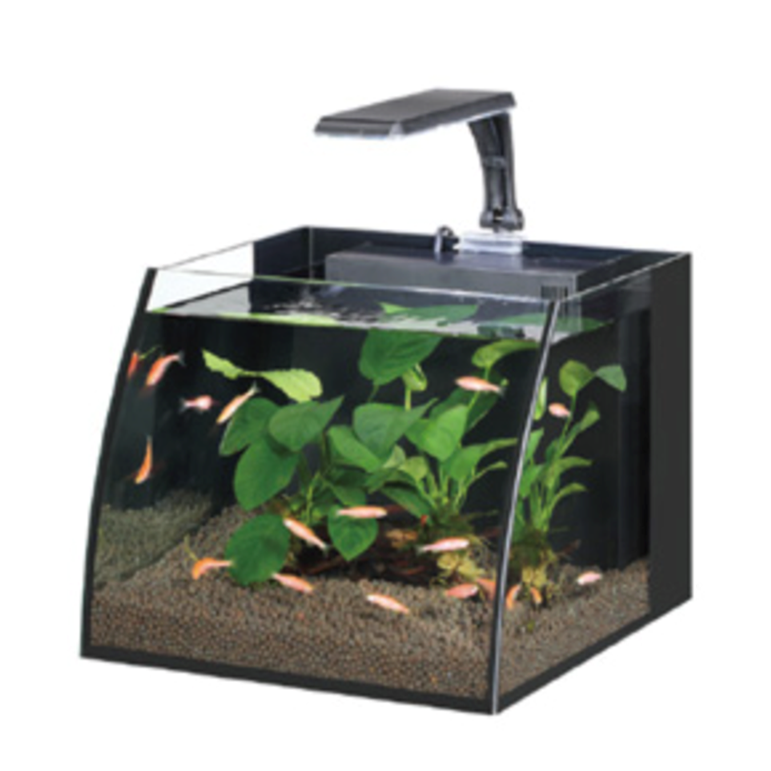 HAQOS BELLY BOX 25 LED AYDINLATMALI NANO AKVARYUM 11L BLACK HAQOS BELLY BOX 25 LED AYDINLATMALI NANO AKVARYUM 11L BLACK