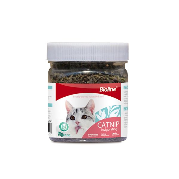 BİOLİNE CATNİP KEDİ OTU 20 GR