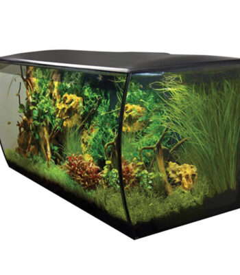 FLUVAL FLEX AKVARYUM 123 LT SİYAH