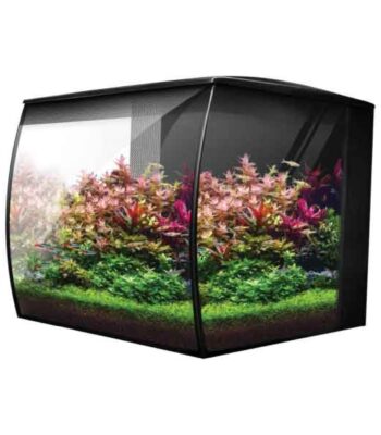 FLUVAL FLEX 2.0 SİYAH 34 LT