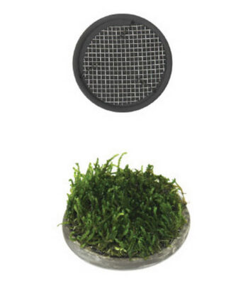 ISTA BİTKİ TABAN SERAMİK 5 CM YUVARLAK