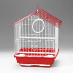 LEPİSTES KOİ PLATİNİUM REDTAİL DUMBO (İTHAL) 3,5 CM